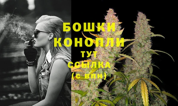 гидропоника Богданович