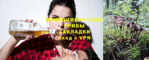 прущий лед Богородск