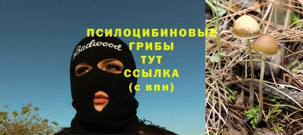 гидропоника Богданович
