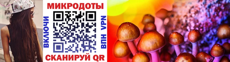 Галлюциногенные грибы GOLDEN TEACHER  Купить где  Усть-Джегута 