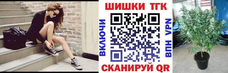 Купить  Усть-Джегута  Бошки марихуана THC 21% 